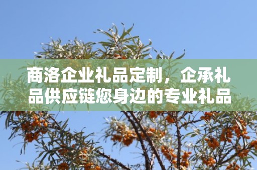 商洛企业礼品定制，企承礼品供应链您身边的专业礼品定制公司