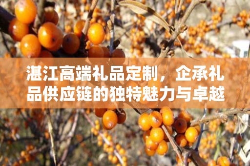 湛江高端礼品定制，企承礼品供应链的独特魅力与卓越服务