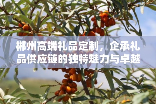 郴州高端礼品定制，企承礼品供应链的独特魅力与卓越服务