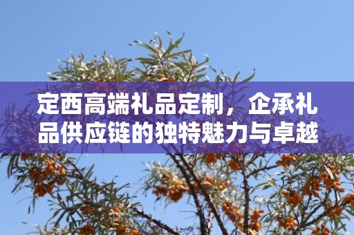 定西高端礼品定制，企承礼品供应链的独特魅力与卓越服务