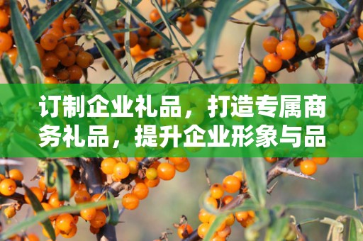 订制企业礼品，打造专属商务礼品，提升企业形象与品牌价值