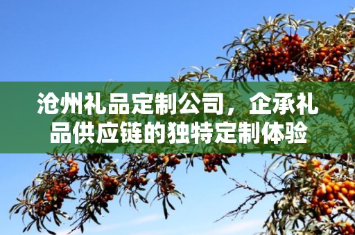 沧州礼品定制公司，企承礼品供应链的独特定制体验