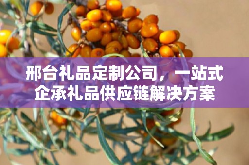 邢台礼品定制公司，一站式企承礼品供应链解决方案