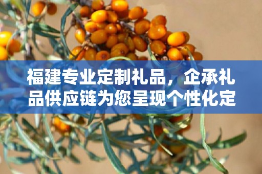福建专业定制礼品，企承礼品供应链为您呈现个性化定制之选