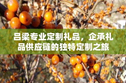 吕梁专业定制礼品，企承礼品供应链的独特定制之旅