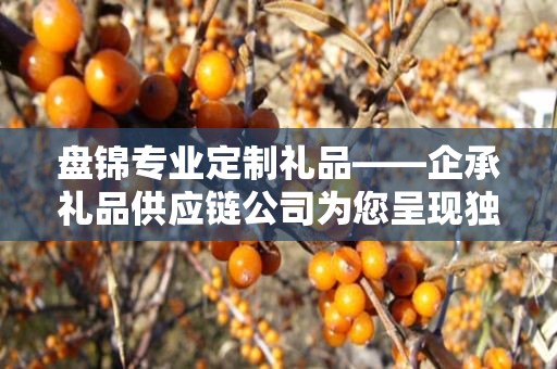 盘锦专业定制礼品——企承礼品供应链公司为您呈现独一无二的礼品定制体验