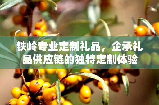 铁岭专业定制礼品，企承礼品供应链的独特定制体验
