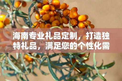 海南专业礼品定制，打造独特礼品，满足您的个性化需求