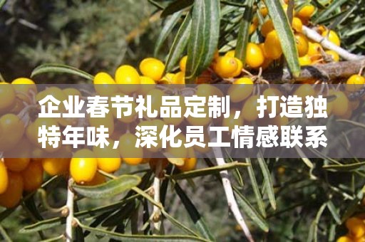 企业春节礼品定制，打造独特年味，深化员工情感联系