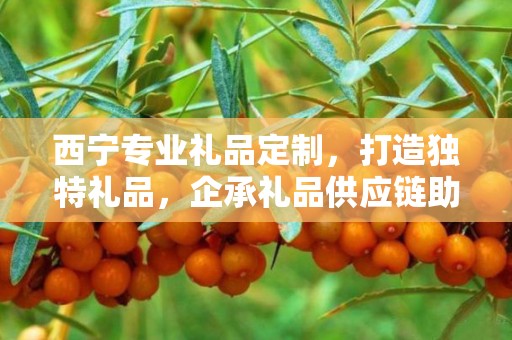 西宁专业礼品定制，打造独特礼品，企承礼品供应链助力商务往来