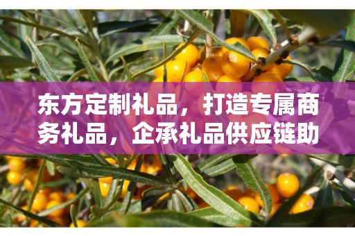 东方定制礼品，打造专属商务礼品，企承礼品供应链助力品质之选