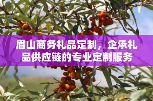 眉山商务礼品定制，企承礼品供应链的专业定制服务