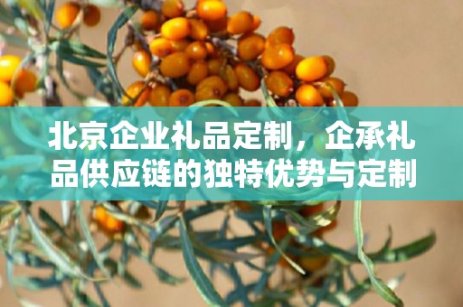 北京企业礼品定制，企承礼品供应链的独特优势与定制之旅