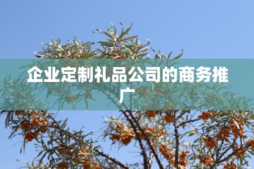 企业定制礼品公司的商务推广