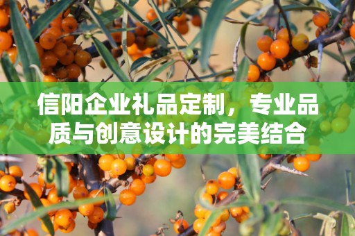 信阳企业礼品定制，专业品质与创意设计的完美结合