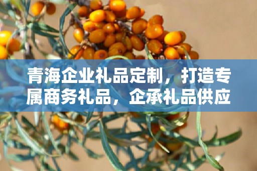 青海企业礼品定制，打造专属商务礼品，企承礼品供应链助力企业品牌建设