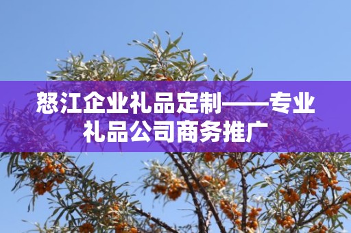 怒江企业礼品定制——专业礼品公司商务推广