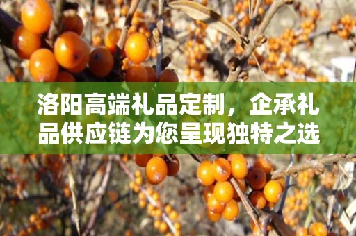 洛阳高端礼品定制，企承礼品供应链为您呈现独特之选