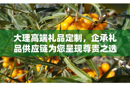大理高端礼品定制，企承礼品供应链为您呈现尊贵之选