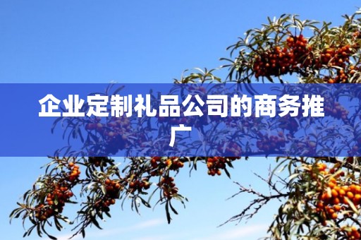 企业定制礼品公司的商务推广