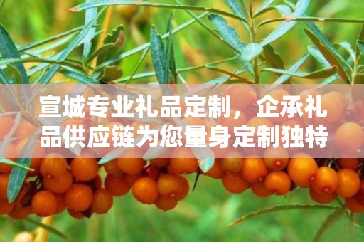 宣城专业礼品定制，企承礼品供应链为您量身定制独特礼品