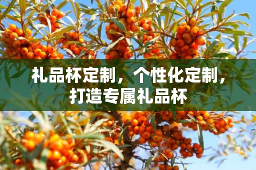 礼品杯定制，个性化定制，打造专属礼品杯