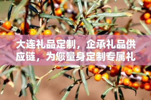 大连礼品定制，企承礼品供应链，为您量身定制专属礼品