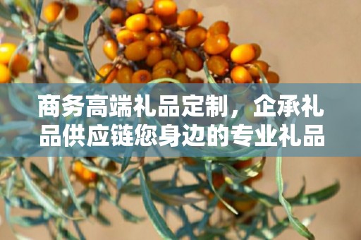 商务高端礼品定制，企承礼品供应链您身边的专业礼品定制公司