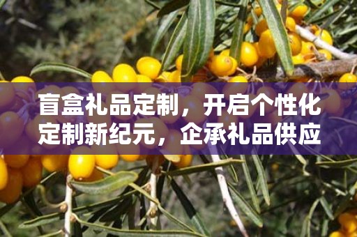 盲盒礼品定制，开启个性化定制新纪元，企承礼品供应链引领行业前沿