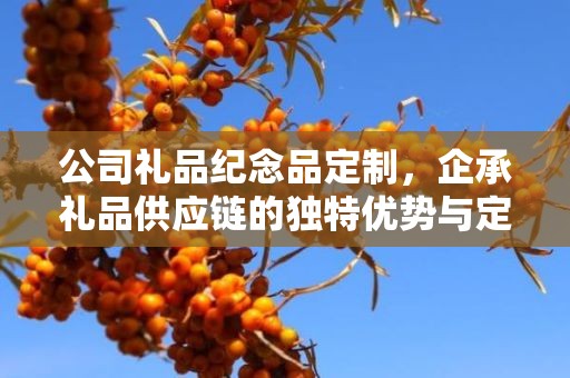 公司礼品纪念品定制，企承礼品供应链的独特优势与定制体验