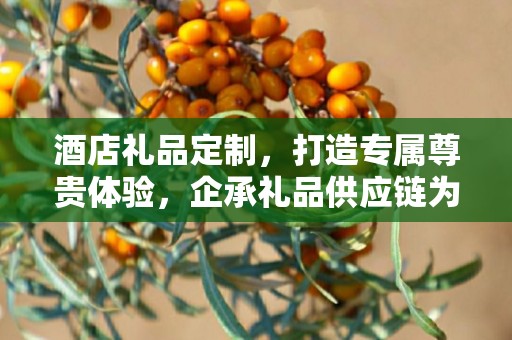 酒店礼品定制，打造专属尊贵体验，企承礼品供应链为您精心策划