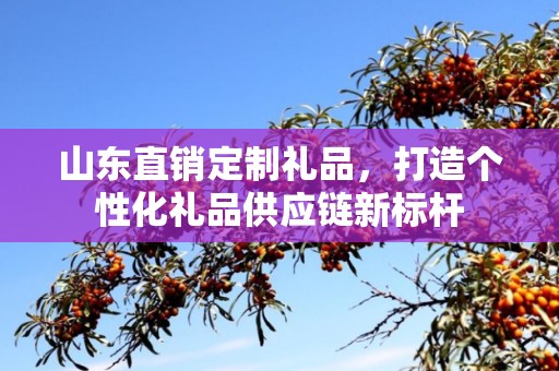 山东直销定制礼品，打造个性化礼品供应链新标杆