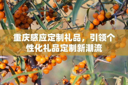 重庆感应定制礼品，引领个性化礼品定制新潮流